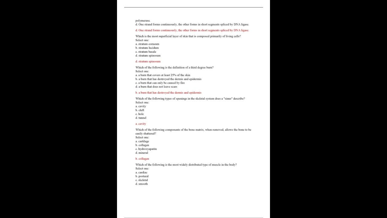A EN P 1 FINAL EXAM STRAIGHTERLINE ANATOMY AND PHYSIOLOGY 1