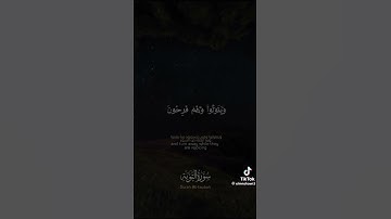 المنشاوي تلاوة خاشعة ﴿ قل لن يصيبنا إلا ما كتب الله لنا ﴾ [التوبة: ٥٠-٥١]