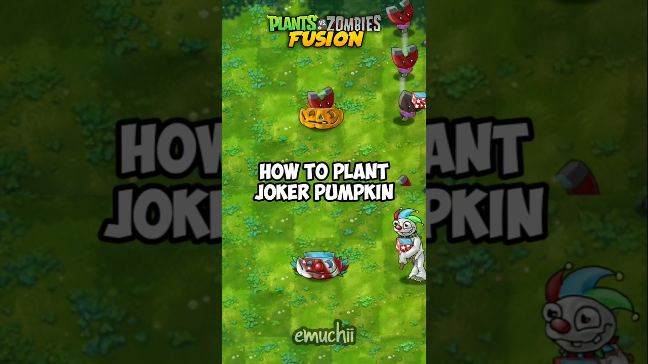 HOW TO PLANT JOKER PUMPKIN 