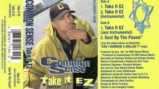 Common Sense - Take it EZ レコードオリジナル Common Sense – Take It EZ – Vinyl (12