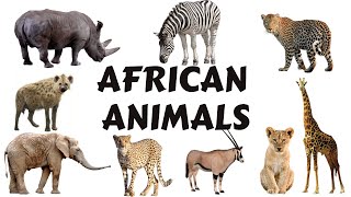 African Animals Names for Kids to Learn | Learning African Animal Names for Children