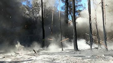 Hazardous Trees - Explosives