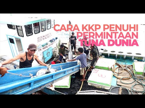 Kolaborasi dan Sinergitas Antar Lembaga Untuk Permintaan Tuna Dunia