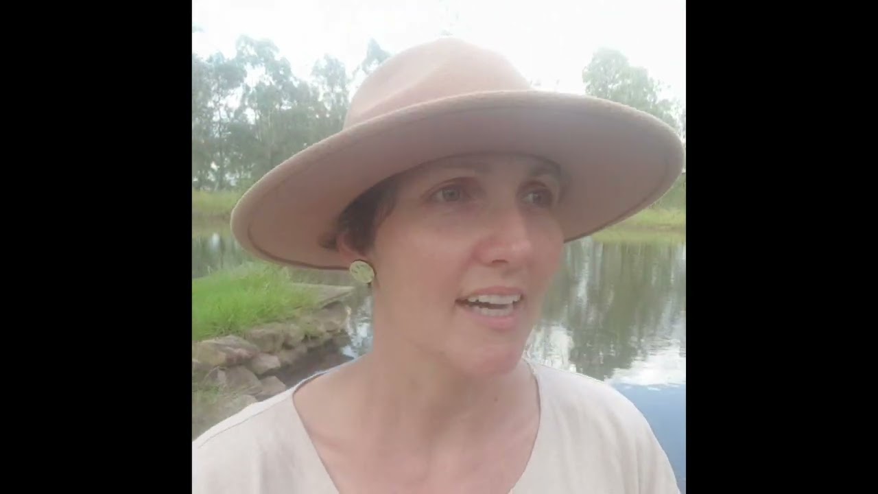 Afternoon swim in the dam* kangaroo sightings* dog swim