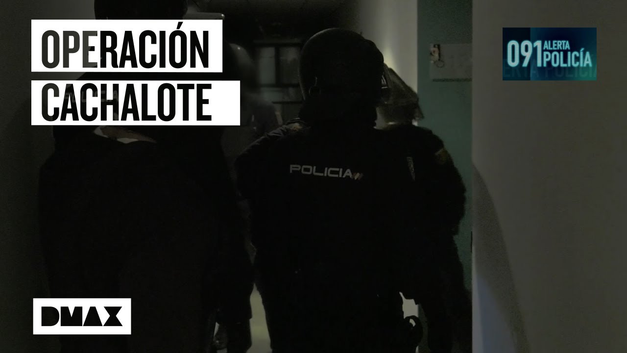 La Brigada de Estupefacientes contra los traficantes del gimnasio | 091: Alerta Policía