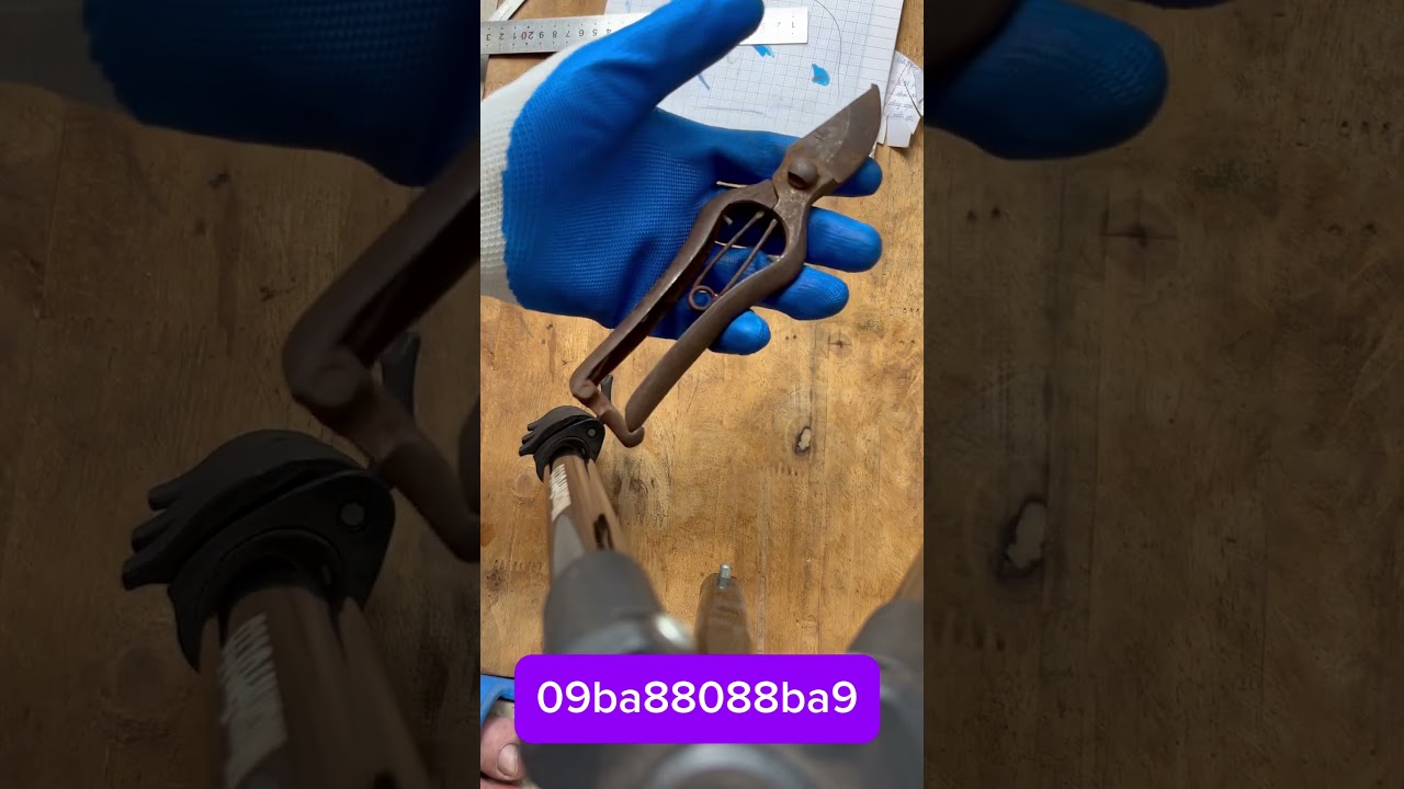 Giao lưu chia sẽ ae đam mê nghệ thuật bonsai #bonsai #bonsaitools #bonsaiart #bonsaivietnam