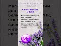 #trending #magnesium #магний #бады #стресс #нервы #гармония #здоровье #сон