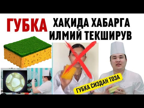 ТЕЗКОР ГУБКА ҲАҚИДА ТАРҚАЛГАН ХАБАРГА АНИҚЛИК ИЛМИЙ ДАЛИЛЛАР БИЛАН ИСЧАНОВ ТЕКШИРУВ МАНА ШОК ХАБАР