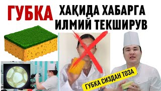 Тезкор Губка Ҳақида Тарқалган Хабарга Аниқлик Илмий Далиллар Билан Исчанов Текширув Мана Шок Хабар