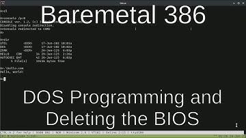Baremetal 386 - DOS Programming and Deleting the BIOS