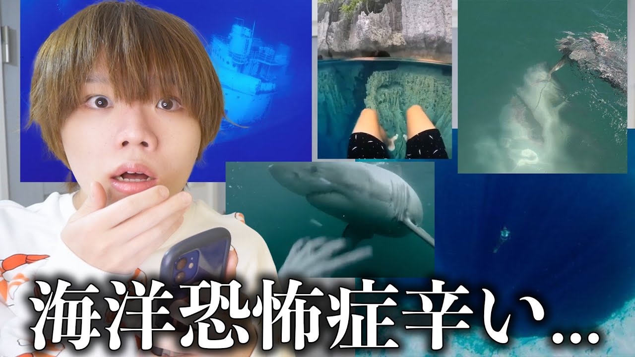 これが怖かった人は海洋恐怖症らしいww【第2回】 YouTube