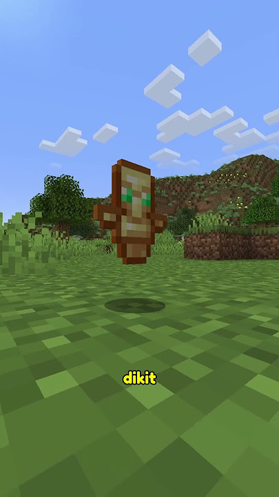 Item Terlangkah Minecraft