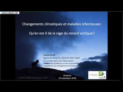 Vidéo: Identification Des Maladies Infectieuses Sensibles Au Climat Chez Les Animaux Et Les Humains Dans Les Régions Du Nord