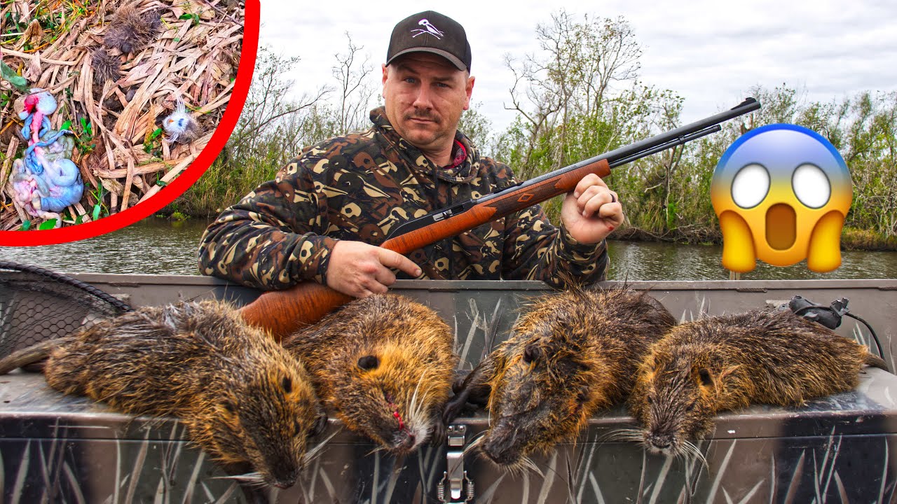 Download WE weren’t the only THING hunting NUTRIA ( Louisiana Public Invasive Species Hunting )