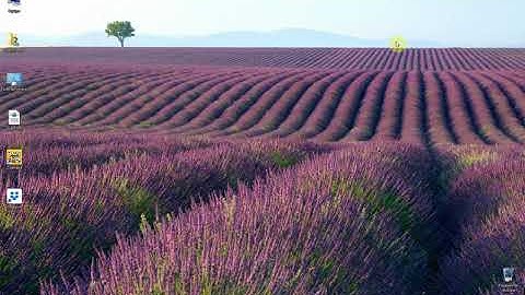 Lenguaje Python (Parte 010), Vectores y matrices