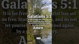 Bible Verse for Today 📖 | SAGC | #shorts #short #youtubeshorts #jesus #viral #trending