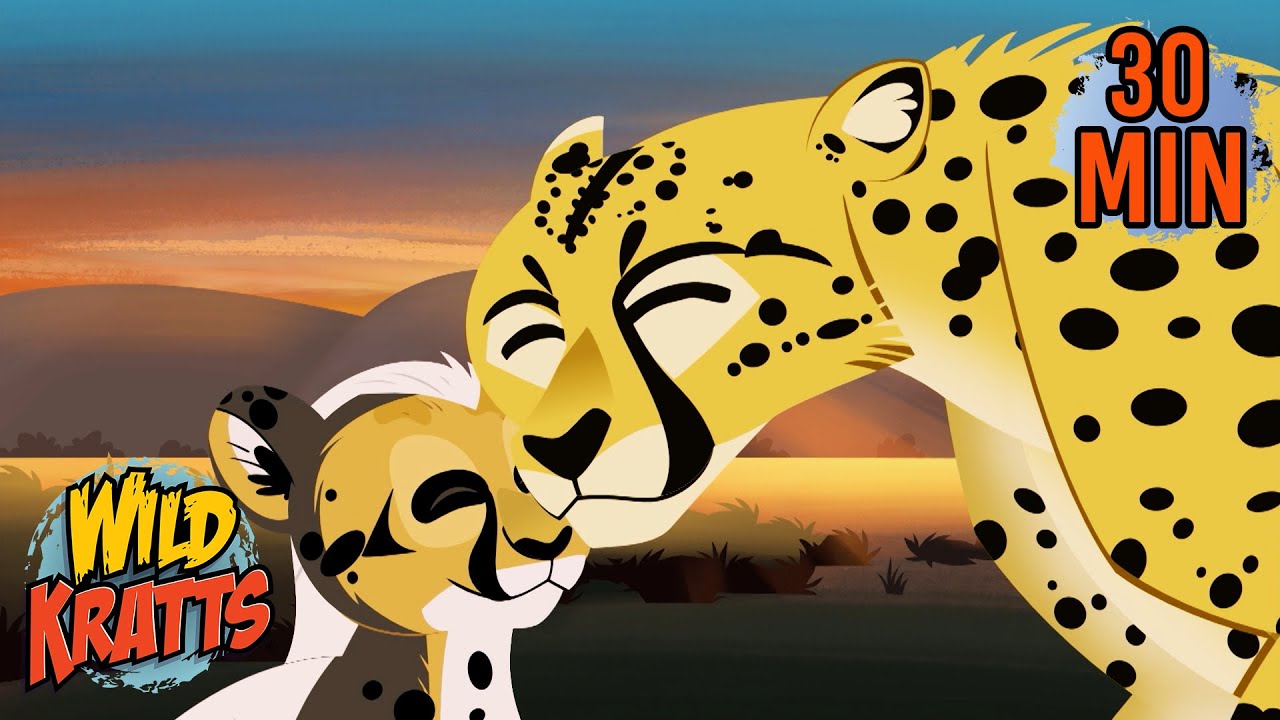 Cheetah Reunites with Cub | Creature Rescue | Wild Kratts