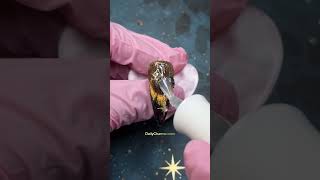 Starry Cat Eye French Tips