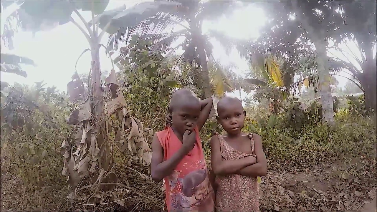 Palmwine -  How to Tap the African  Wine in  Ika Tribe, Nigeria