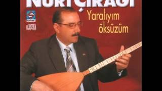 Aşık Nuri Çırağı - Kar Çiçekleri Resimi