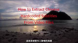 Extract Hardcoded Chinese Subtitles from Video Files screenshot 5