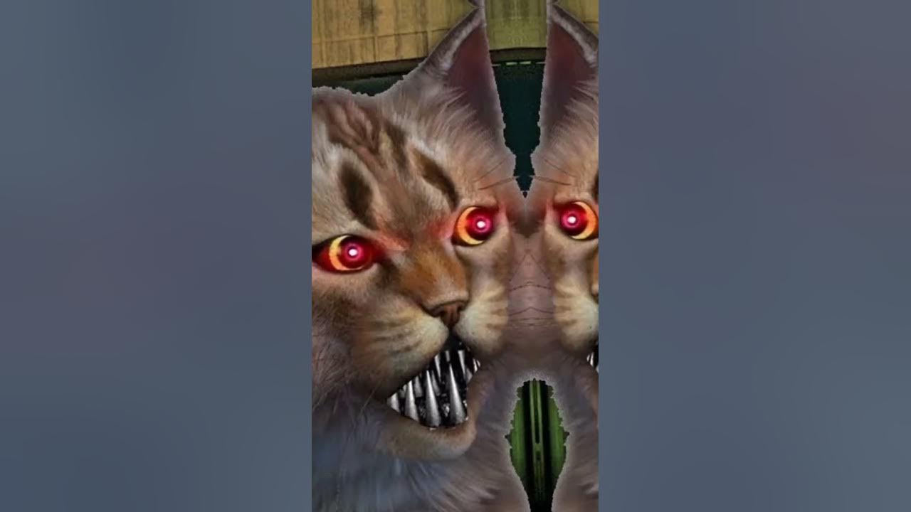 Котенок лайк игра кальмар: найдено 80 изображений