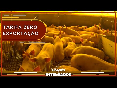 Coréia do Sul suspende tarifas para importação de carne suína | Ligados&Integrados - 08/06/2022