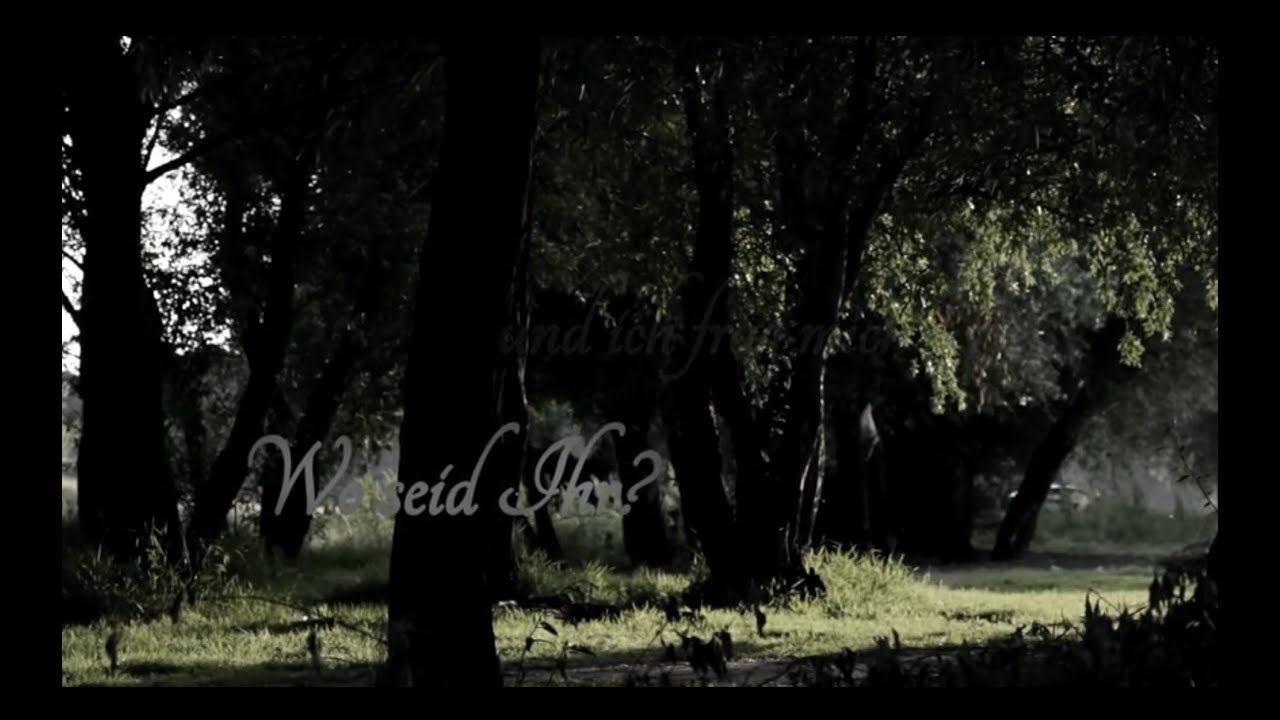 在 YouTube 上觀看「PHIL DAVID - MIT DIR EP TRAILER」 在 YouTube 上觀看「PHIL DAVID - MIT DIR EP TRAILER」