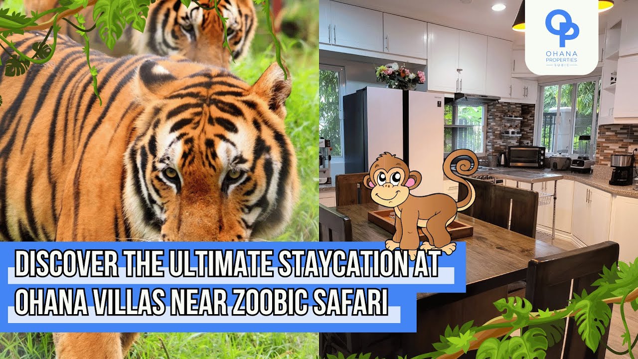 Discover the Ultimate Staycation at Ohana Villas Near Zoobic Safari