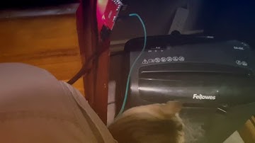 Using Sonoff Touch and Node Red with Espeasy. IOT