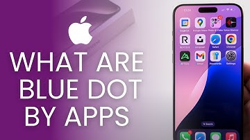 Wat is de Blue Dot Next-app op de iPhone? (Hoe kom je er vanaf?)