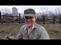 Bubbling Springs Metal Detecting: A Most Excellent Day (Part One)