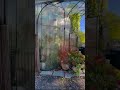 Hudson Milliner Canopy Edited Video || HOME LIVE'S ||