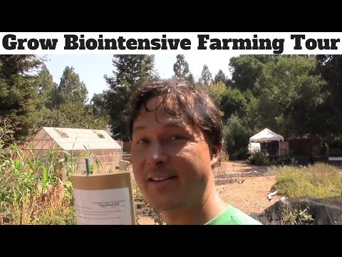 Video: Balcony Garden Growing: Paggamit ng Biointensive Garden Approach