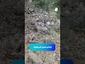 سقوط قطع من طائرة مسيّرة في بلدة آصيا – قضاء البترون