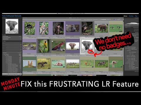 Quick Tip: Lightroom Classic - Fix this ANNOYING Issue!