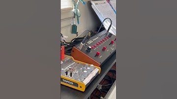 Solina strings - dogs