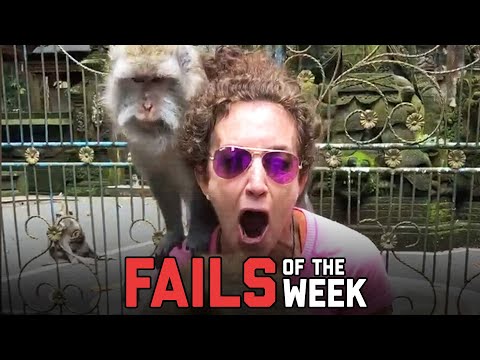 Day Ruined! Fails of the Week | FailArmy