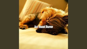 Alluring Backdrops for Resting Pup