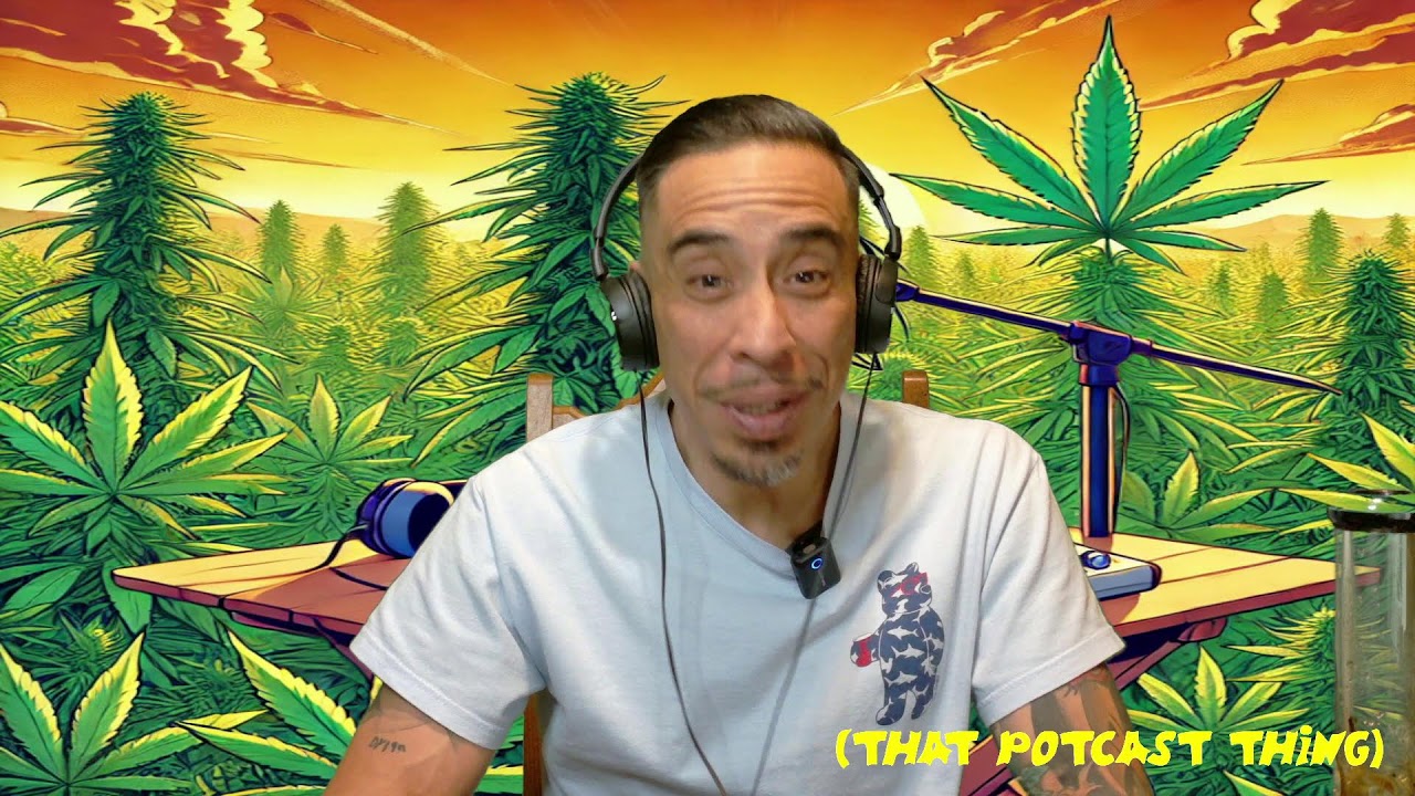 Brush up on your Dutch! II That Potcast Thing Ep 78!