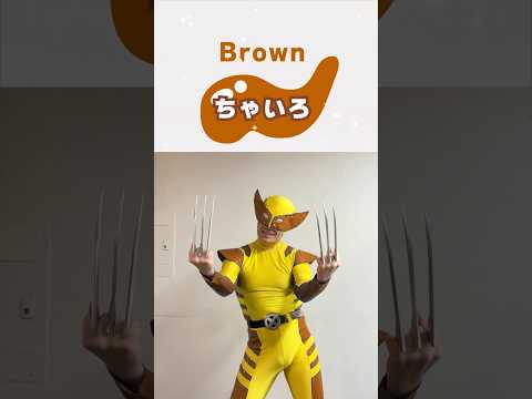 Combine Essas Cores Wolverine 