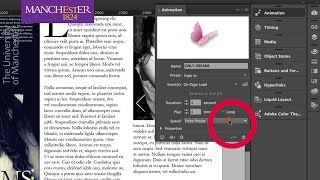 InDesign CC: Animating On Entry | Design eLearning