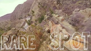 rare spot - uncut