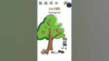 Brain out walkthrough level 132