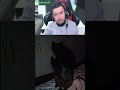El gatito que se duplica solo... #SHORTS  #clips