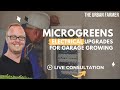 Microgreens: Electrical Upgrades for Garage Growing - LISTEN IN