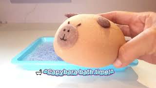 Capybara Bath Sponge Squeezing 🐹🛁☁️Satisfying Foam!