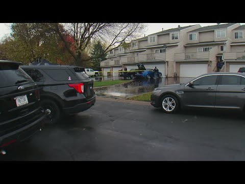 Triple Homicide Farmington Mn 84