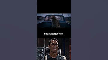 Dog Sad Moments ABANDONED DOG ❤️‍🩹