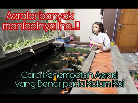 Video: Apa yang dilakukan dengan mengaerasi kolam?